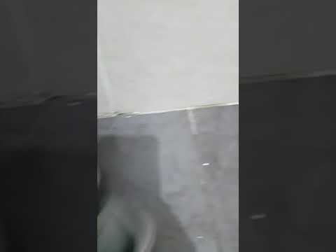 איתור נזילה בעזרת בלון לחץ